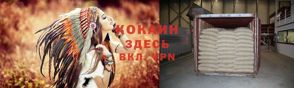 ГАЛЛЮЦИНОГЕННЫЕ ГРИБЫ Верея