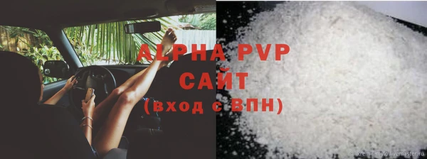 крисы Козловка