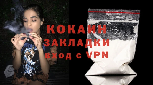ГАЛЛЮЦИНОГЕННЫЕ ГРИБЫ Верея