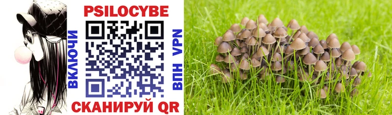 Галлюциногенные грибы Magic Shrooms  Ишимбай 